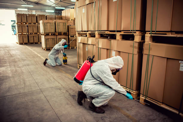 Reliable Wichita Falls, TX Pest Control Solutions