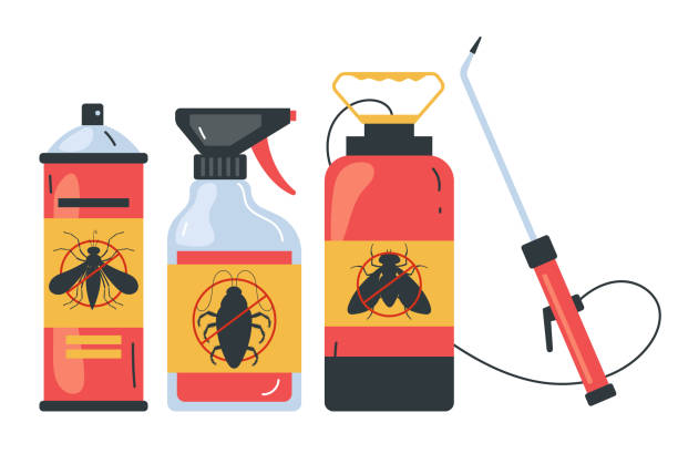 Best Affordable Pest Control Services  in Wichita Falls, TX
