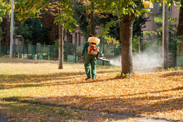Best Emergency Pest Control  in Wichita Falls, TX